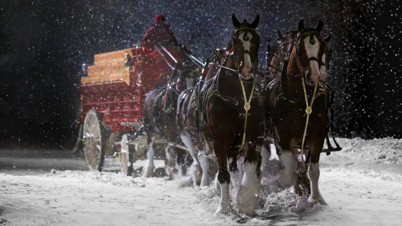 , Award-Winning Film Director Takes Budweiser Clydesdales On Nostalgic Ride For Super Bowl LVIII