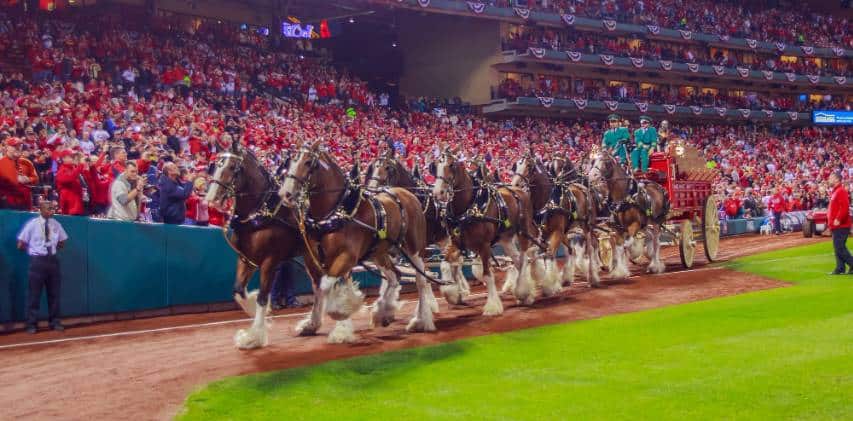 , Budweiser Celebrates Patriotic Partnership With Nationwide Clydesdale Tour