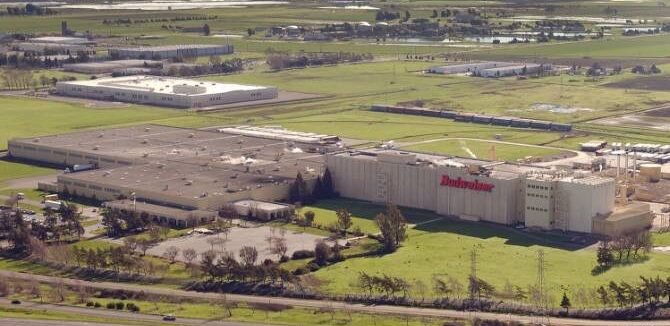 , Beer News: Tattoo-for-Beer Promotion Falls Flat / Anheuser-Busch Plans $7M Brewery Upgrade