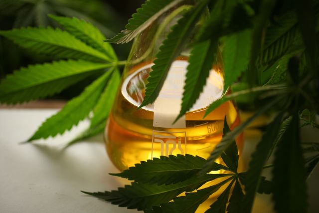 Close-up of a glass of a yellow cannabis beverage on a table, surrounded by dark green cannabis leaves