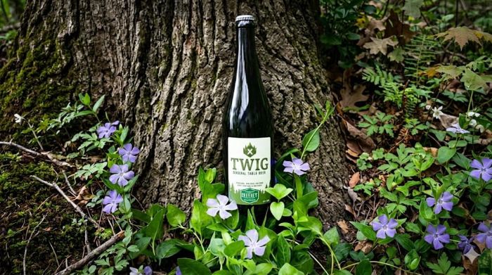 A bottle of Twig Seasonal Table Beer leans against a mossy tree trunk, surrounded by blooming purple periwinkle flowers and forest foliage.