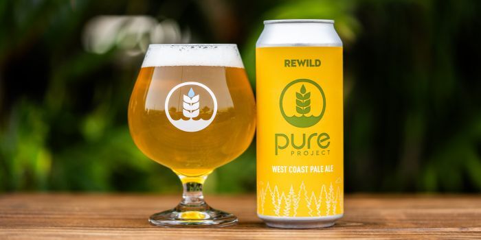 A can of Pure Project Rewild West Coast Pale Ale next to a matching tulip glass of golden beer on a wooden surface.