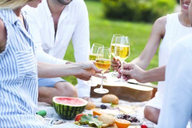 Group of friends sitting outdoors at a backyard picnic, raising glasses of white wine in a toast while sharing light food, capturing a relaxed and social summer gathering atmosphere.