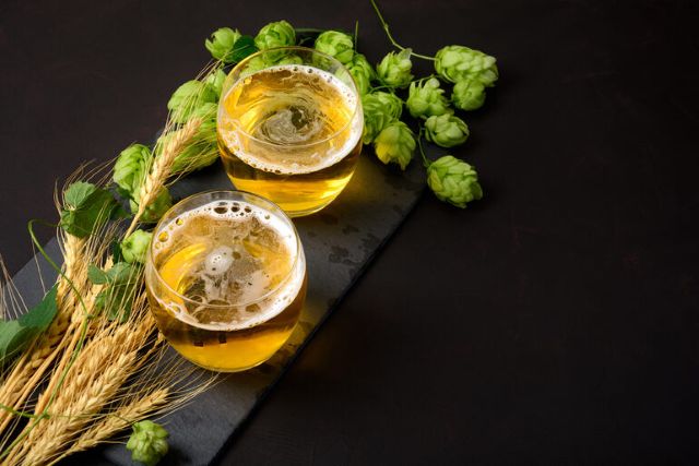 Two glasses of golden craft beer surrounded by fresh hops and barley, highlighting the return of simple, flavorful brews.