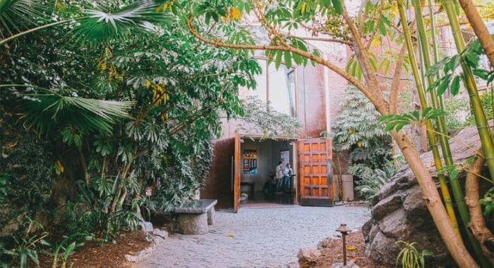 A lush garden entry to Stone Brewing’s Escondido brewery with dense green foliage, palm fronds, and tall trees leading to an open heavy wooden double door of the brewery.