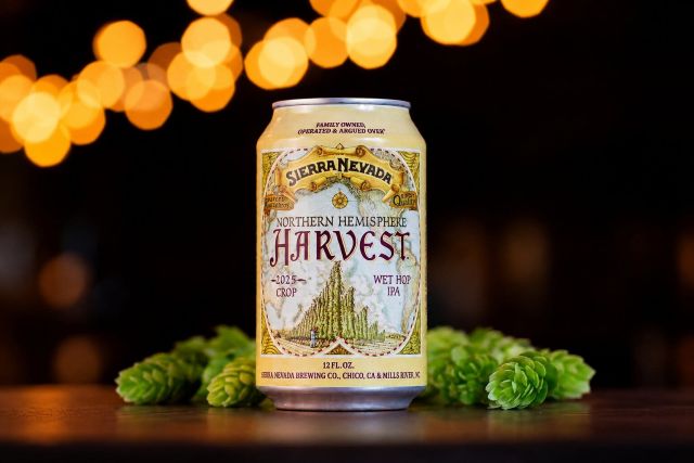 Sierra Nevada Northern Hemisphere Harvest Wet Hop IPA can surrounded by fresh hops against a dark background with warm lights.